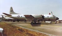 NZ4203 @ EGVA - Royal New Zealand Air Force - by Noel Kearney