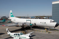 C-FBAQ @ CYZF - Buffalo Airways L-188