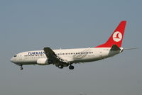 TC-JGL @ EBBR - Arrival of flight TK1937 to rwy 25L