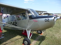 N94578 - Double Trouble OSH 2009 - by Nicole Zenner