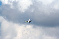 N6335G @ DTO - denton