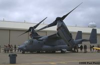 166391 @ NTU - Sporting a different color scheme, with higher contrast to her counter-shading.  Looks like the USAF colors