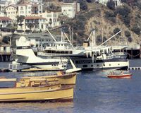 N41881 @ AVALON - docked at pier avalon bay - by roger