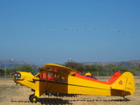 N42478 @ KLPC - Lompoc Piper Cub fly-in 09' Mass Fly Over - by Nick Taylor Photography