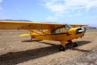 N42478 @ KLPC - Lompoc Piper Cub fly-in 09' - by Nick Taylor Photography
