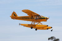N7590K @ KLPC - Lompoc Piper Cub fly-in 09' - by Nick Taylor Photography