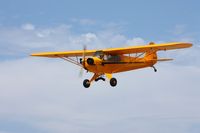 N30627 @ KLPC - Lompoc Piper Cub fly-in 09' - by Nick Taylor Photography