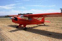 N38131 @ KLPC - Lompoc Piper Cub fly-in 09' - by Nick Taylor Photography