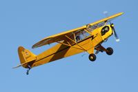 N98425 @ KLPC - Lompoc Piper Cub fly-in 09' - by Nick Taylor Photography