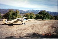 N35417 - Walnut Orchard, upper Ojai CA -1995 - by Mike Mason