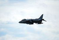 163879 @ KFFC - Harrier hovering - by Connor Shepard
