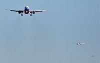 N417UA photo, click to enlarge