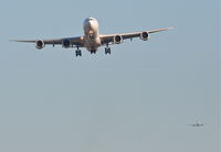 EC-JPU photo, click to enlarge