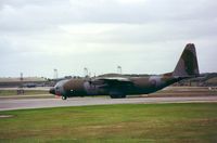 XV307 photo, click to enlarge XV307 photo, click to enlarge