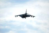 163879 @ KFFC - Harrier hovering - by Connor Shepard