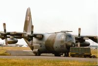 XV306 photo, click to enlarge XV306 photo, click to enlarge
