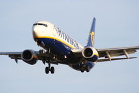 EI-EBZ @ EGGP - Ryanair - by Chris Hall