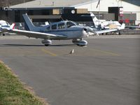 N3003K @ KLUK - Two birds in one. The seagull seemed to be limping a bit, the poor thing - by Kevin Kuhn