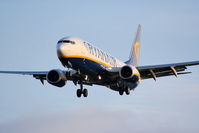 EI-EBX @ EGGP - Ryanair - by Chris Hall