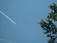 A6-EDC @ CONTRAIL - In Flight Cluj