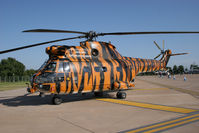 XW231 @ EGVA - On display at the RIAT 2005 - by olivier Cortot