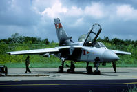 ZE755 @ EHLW - One of the first deployments of RAF Tornadoes to Leeuwarden took place in 1990. 5 Sq was operating out of the old TCA line