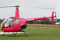 G-WADS @ EGCV - seen @ Sleap