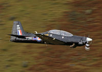ZF295 photo, click to enlarge
