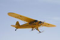 N13LE @ C77 - Piper J3C-65 - by Mark Pasqualino