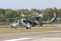 7360 @ EBBL - Tiger Meet