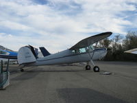 N77439 @ SZP - 1947 Cessna 140, Continental C85 85 Hp - by Doug Robertson