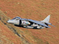 ZD401 photo, click to enlarge ZD401 photo, click to enlarge