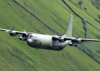 XV290 photo, click to enlarge XV290 photo, click to enlarge