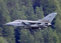 ZA557 photo, click to enlarge