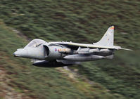 ZD438 photo, click to enlarge ZD438 photo, click to enlarge
