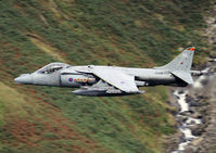 ZD438 photo, click to enlarge ZD438 photo, click to enlarge
