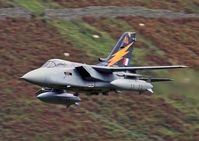 ZE734 photo, click to enlarge