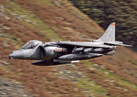 ZD375 photo, click to enlarge
