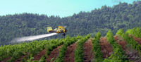 N7016X - Dusting Christmas Trees - by Bob Ledbetter