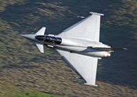 ZJ813 photo, click to enlarge ZJ813 photo, click to enlarge