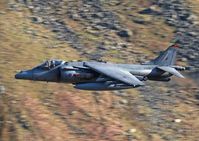 ZD438 photo, click to enlarge ZD438 photo, click to enlarge