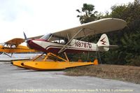 N8787D @ GIF - On the beach at Brown's SPB Winter Haven FL - by J.G. Handelman