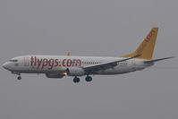 TC-AAN @ LOWW - Pegasus 737-800 - by Andy Graf-VAP