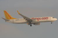 TC-AAR @ LOWW - Pegasus 737-800 - by Andy Graf-VAP