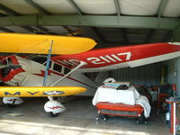 N21117 @ HOME - In the hanger with the other Stinson, Stearman and Corvette. - by Terry L Swann