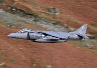 ZD463 photo, click to enlarge ZD463 photo, click to enlarge