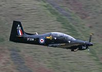 ZF239 photo, click to enlarge ZF239 photo, click to enlarge