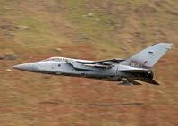 ZE162 photo, click to enlarge ZE162 photo, click to enlarge
