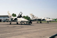 ZE787 @ EGSX - Panavia Tornado F3, together with ZE982 at North Weald Airfield in 1992. - by Malcolm Clarke