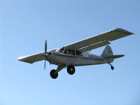 N55MA @ SZP - 2005 Aviat A-1B HUSKY, Lycoming O-360 180 Hp, on final Rwy 04 - by Doug Robertson